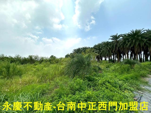 安南農地-10