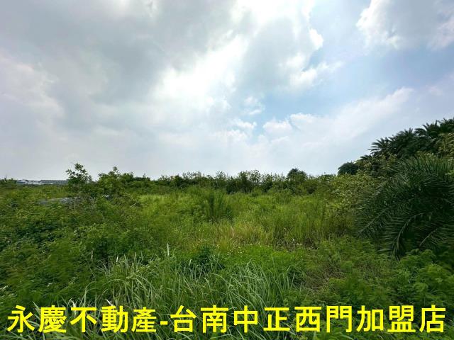 安南農地-12