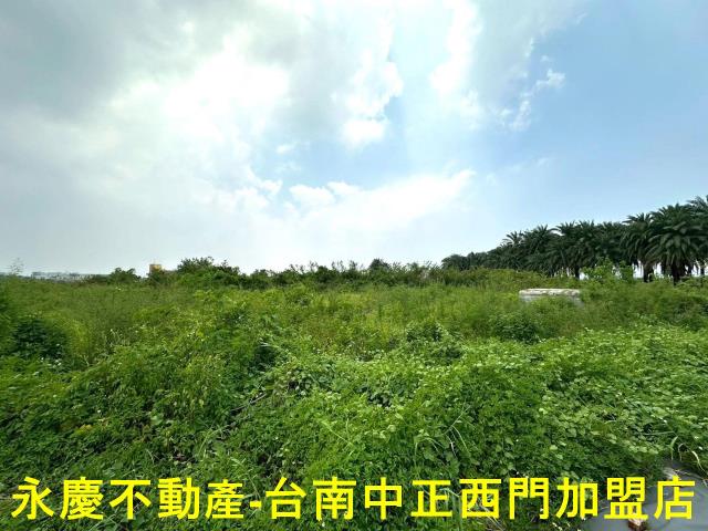 安南農地-14