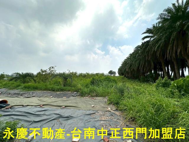 安南農地-1
