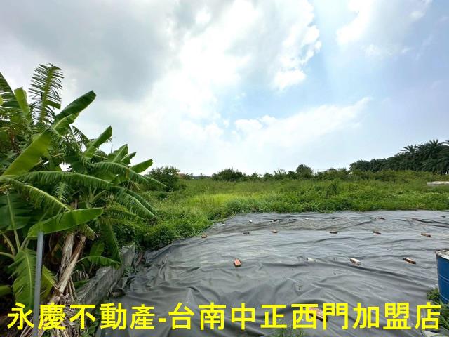 安南農地-6