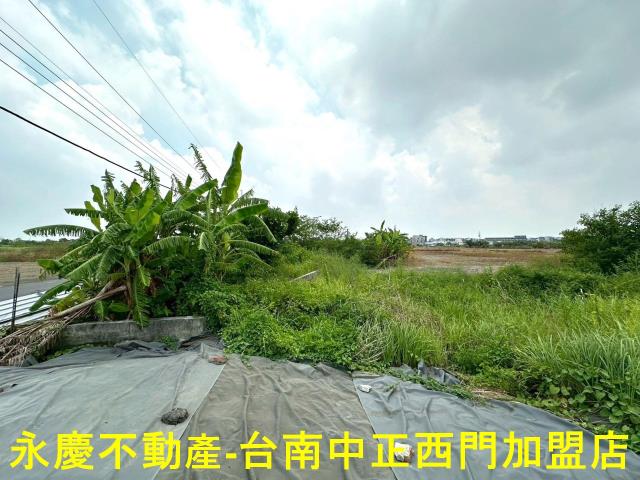 安南農地-7