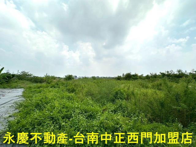 安南農地-9