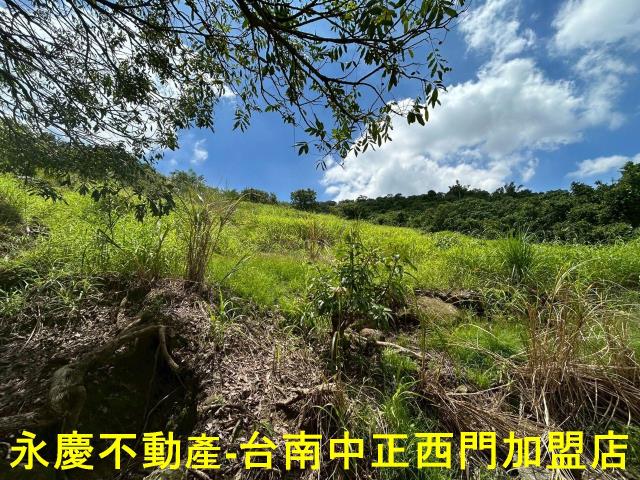 南化農地-10