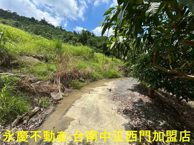南化農地-11