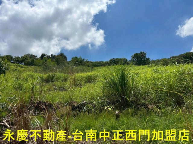 南化農地-5