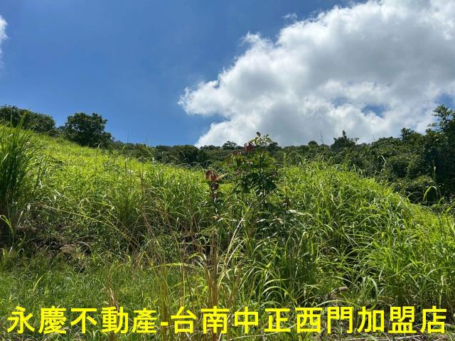 南化農地-6