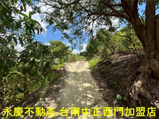 南化農地-8