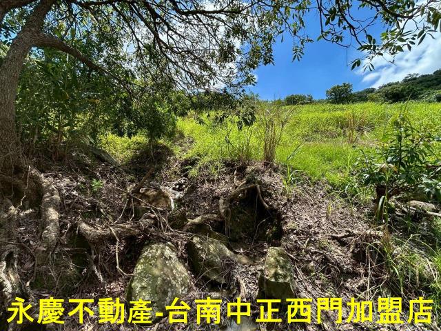南化農地-9