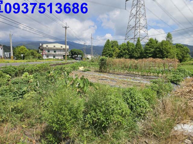 宜蘭農地-14