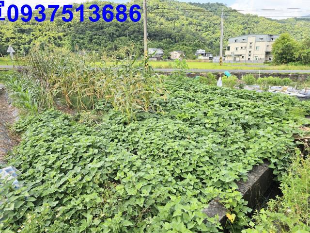 宜蘭農地-1