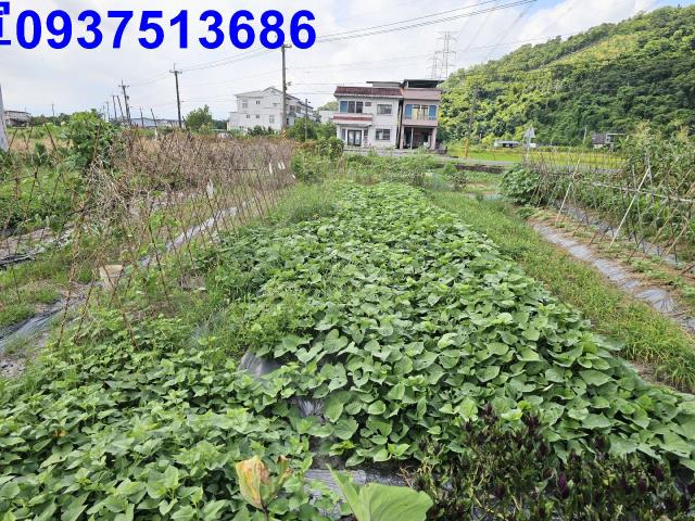 宜蘭農地-2