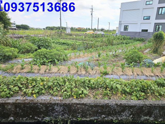 宜蘭農地-6
