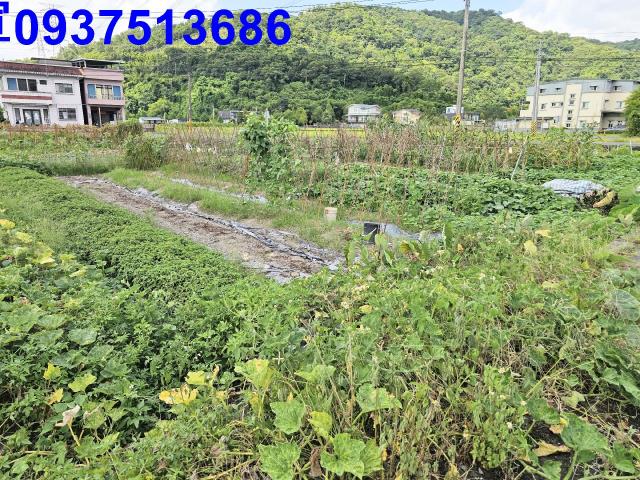 宜蘭農地-7