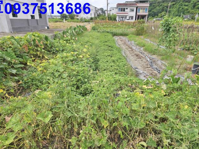 宜蘭農地-9