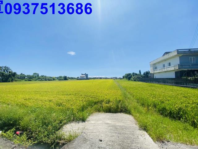 宜蘭五結農地-9