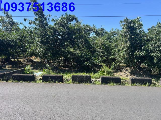 宜蘭員山農地-9