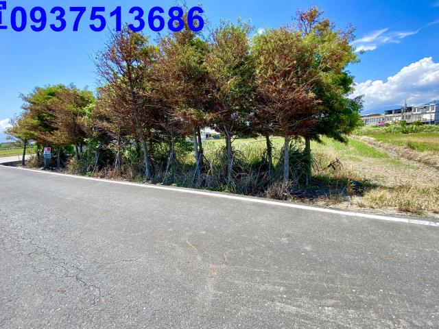 宜蘭壯圍農地-11