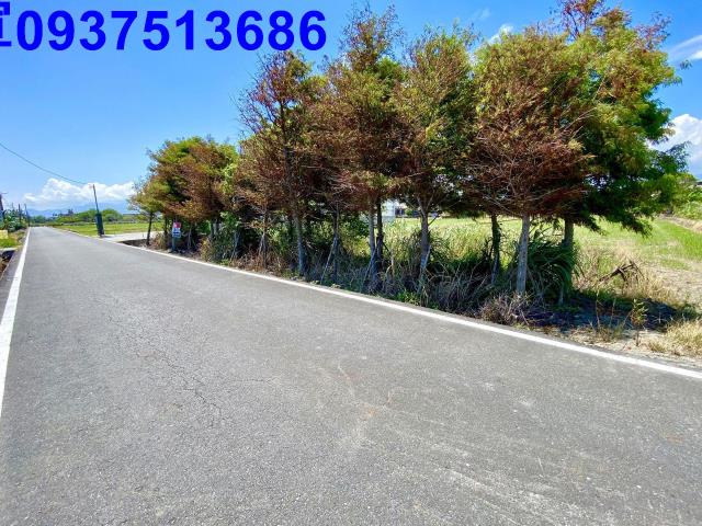 宜蘭壯圍農地-7