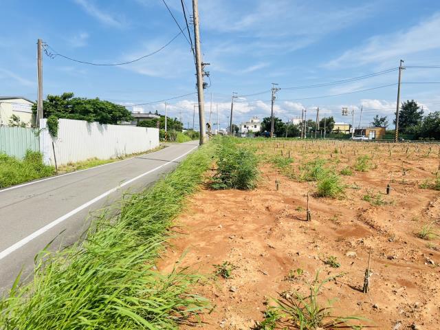 觀音農地-1