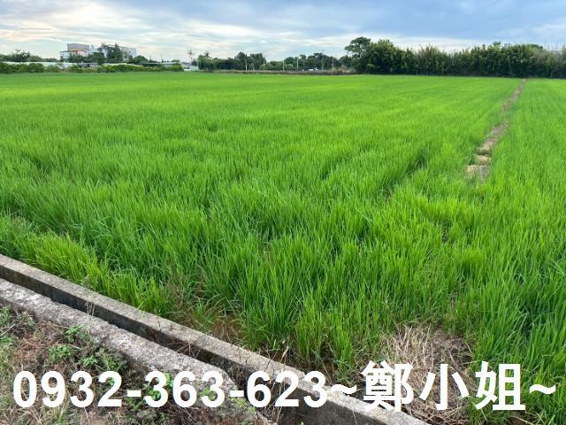 楊梅農地-3