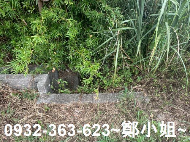 楊梅農地-7