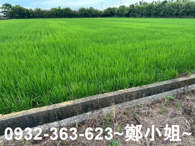 楊梅農地-10