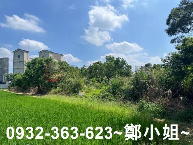 楊梅農地-12
