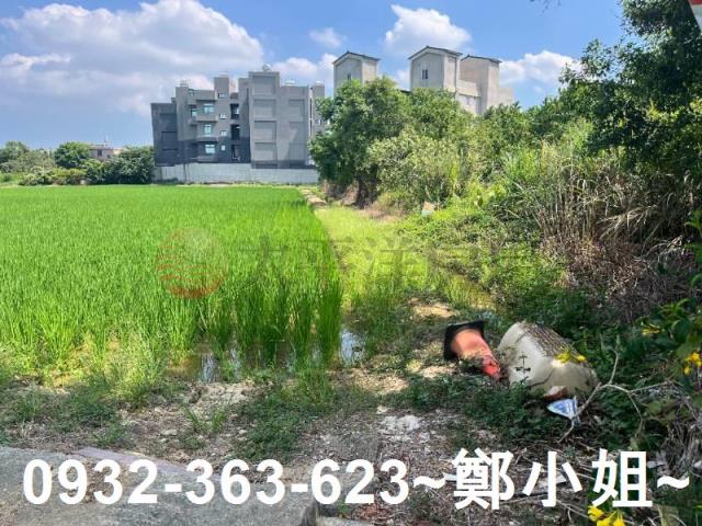 楊梅農地-9