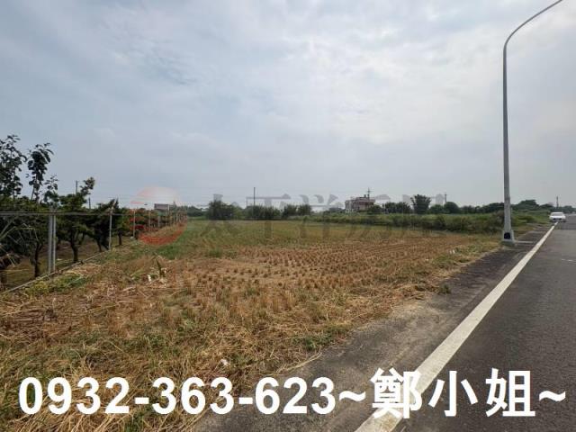 觀音農地-2