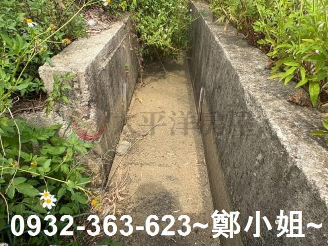 觀音農地-5