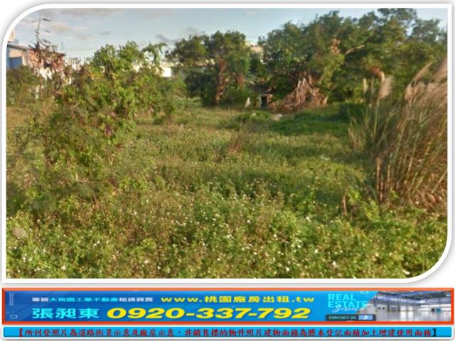 新竹湖口工業地-3