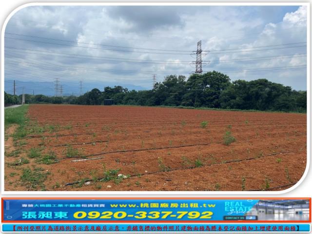 新竹關西農地-1