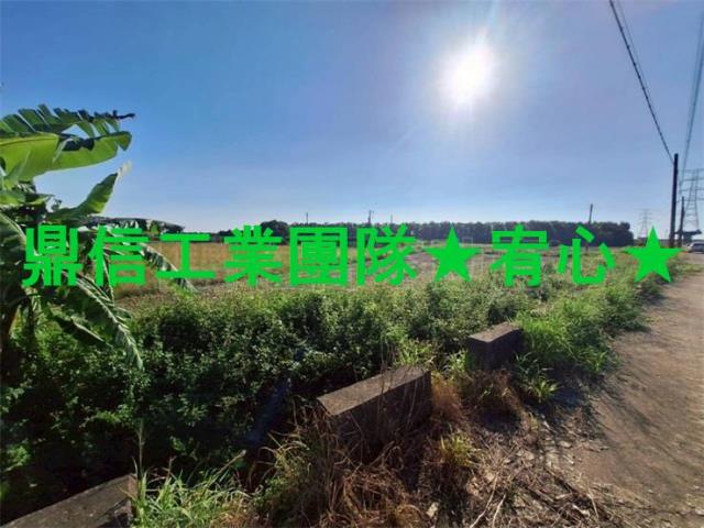 台南善化農地-1