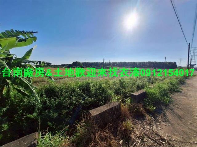 台南善化農地-1