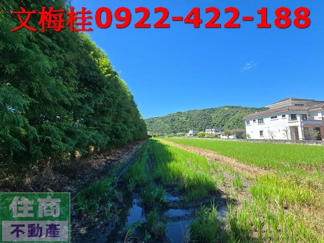 宜蘭農地-1