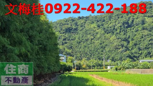 宜蘭農地-2