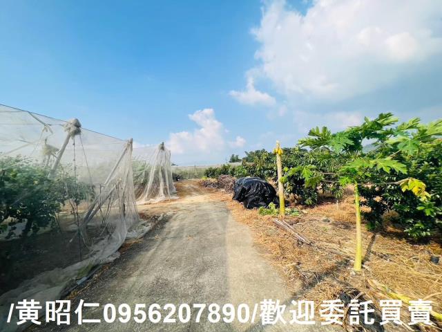 台南玉井農地-12