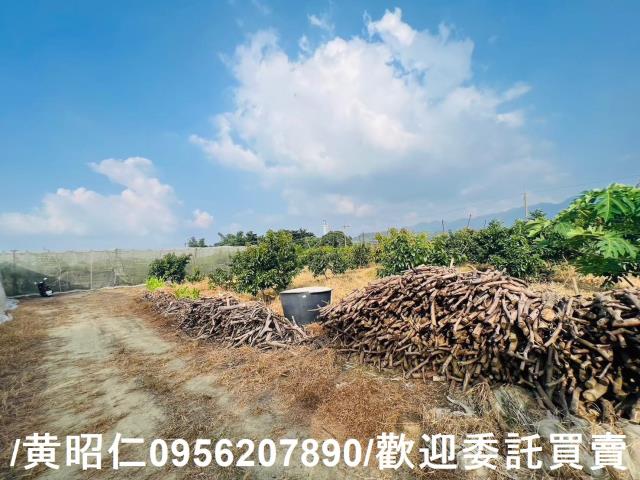 台南玉井農地-13