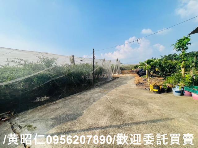 台南玉井農地-1