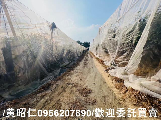 台南玉井農地-5