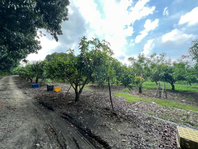 台南玉井農地-12