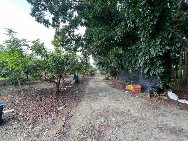 台南玉井農地-13