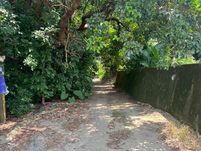 台南玉井農地-14