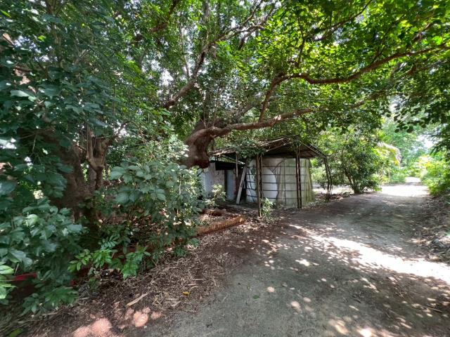 台南玉井農地-15