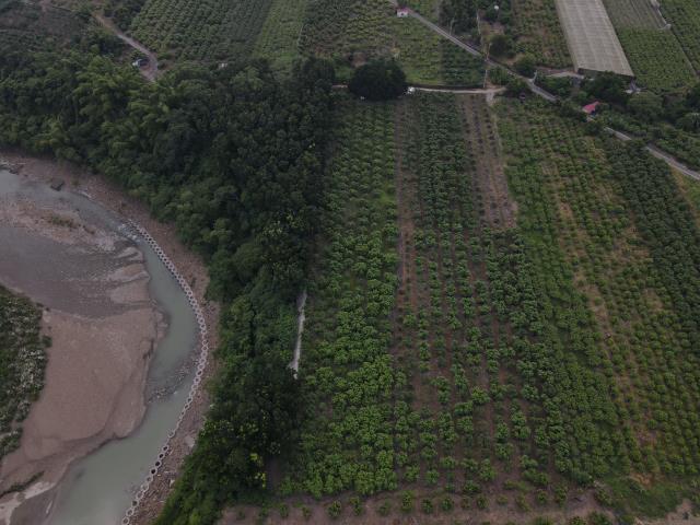 台南玉井農地-4