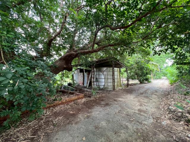 台南玉井農地-7