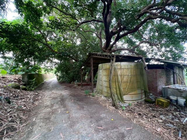 台南玉井農地-8