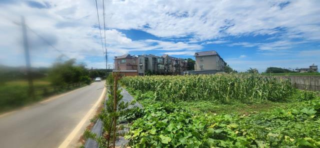 新竹新豐農地-10