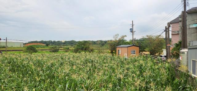 新竹新豐農地-11